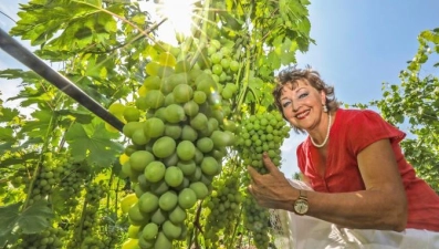 Липецкие фермеры развивают сельский туризм