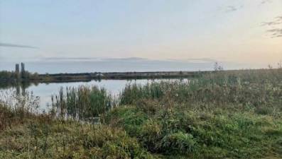 Пьяная драка на пруду в Воловском районе закончилась жестоким убийством