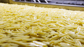 Липецкая область лидирует в России по производству переработанного картофеля и мясных консервов