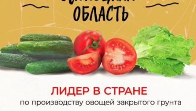 13 тыс тонн овощей собрано в январе в Липецкой области 