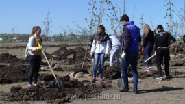 В парке Авиаторов высадили деревья