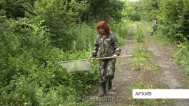 Более 3000 жителей области пострадали от укусов клещей