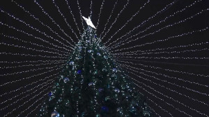 Новогодние украшения останутся на улицах Липецка до конца января