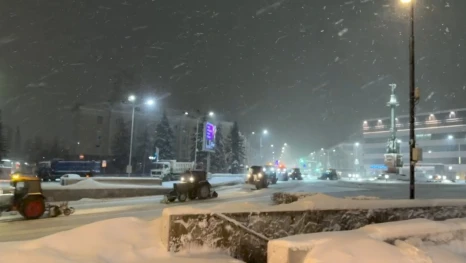 За ночь 31 января в Липецке выпала четверть месячной нормы осадков