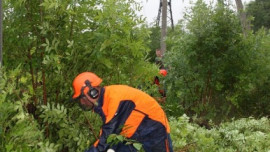 Липецкэнерго повышает надежность линий электропередачи