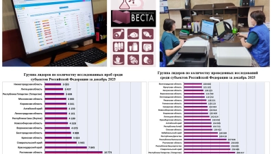 Липецкая область вошла в топ-15 регионов России по работе в системе ВЕСТА