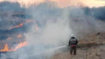 17 случаев возгарания сухой травы зафиксировано за 3 апреля в Липецкой области