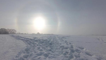 В небе над Ельцом засняли редкое солнечное гало 