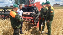 Студенты из Задонского района Липецкой области помогают в уборке урожая