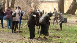 В Липецке провели большую уборку