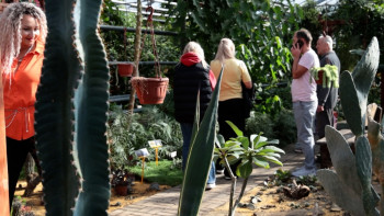 Липецкий ботанический сад отметит 20-летие