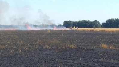 В Тербунском районе огонь уничтожил поле пшеницы