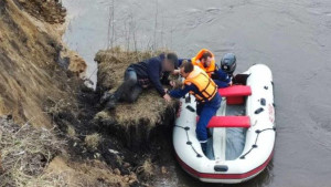 Пенсионер оказался в реке из-за обвалившегося берега в Липецкой области