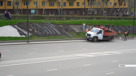 На Плехановском спуске обновят цветочную композицию