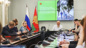 Система «Патронаж» в Липецкой области поможет пенсионерам и многодетным семьям