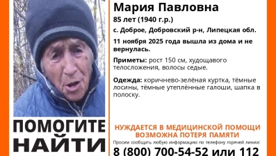 В Липецкой области ищут Марию Клеймёнову