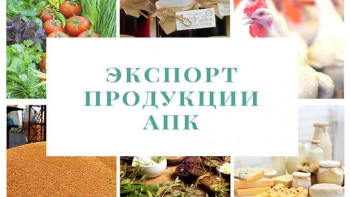 Липецкая область значительно перевыполнила план по экспорту продукции АПК