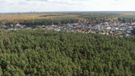 Ограничение на посещение лесов вводится в 10 лесничествах Липецкой области