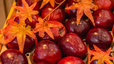 В Липецкой области собрали 60 тыс. тонн яблок