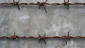 В Ельце женщина подозревается в мошенничестве при получении выплат по соцконтракту