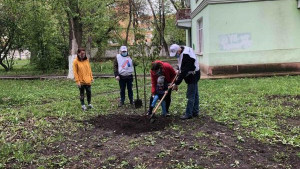 В Липецке проходит акция «Палисадник Победы» (видео)