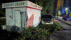 «Лада Калина» врезалась в дерево в Ельце