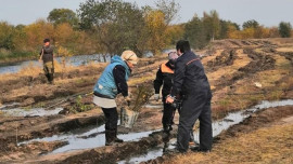 Экологи укрепили берега реки Воронеж