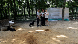 В Липецке владельцы домашних животных объединяются против вандалов