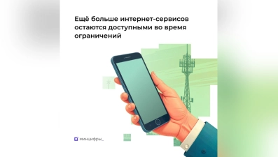 Три липецких сервиса вошли в «белый список» Минцифры России