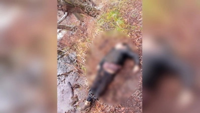 В Липецке напротив бизнес-центра «Парус» спасатели извлекли из воды труп мужчины