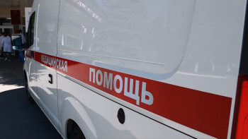 В Липецке от отравления бледной поганкой скончался 73-летний мужчина 