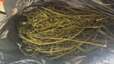 Житель Липецкой области хранил у себя дома полкило каннабиса