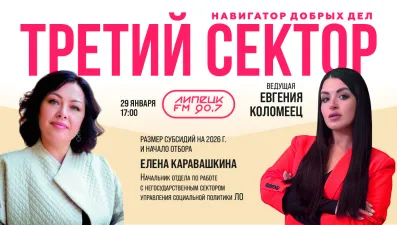 Субсидии. Елена Каравашкина