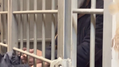 В Липецке 18-летний «закладчик» получил 4,5 года колонии за попытку сбыта крупной партии «синтетики»