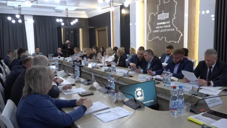 Комитет по экономике Липецкого облсовета одобрил уточнённый проект бюджета на 3 года