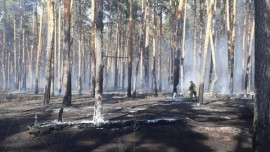 Пожар произошел в районе Силикатных озер