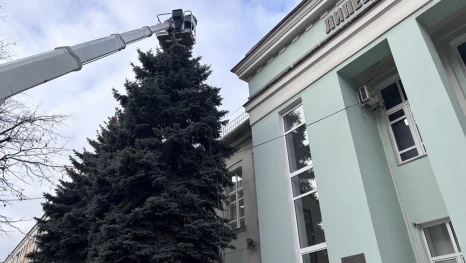 В Липецке начали украшать ёлки у здания горсовета