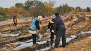 Экологи укрепили берега реки Воронеж