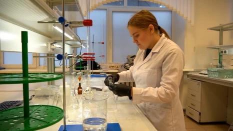 Липецкие студенты колледжей и техникумов готовятся к региональному этапу чемпионата «Профессионалы»