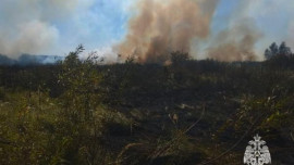 Особый противопожарный режим вводится в Липецкой области с 9 сентября 