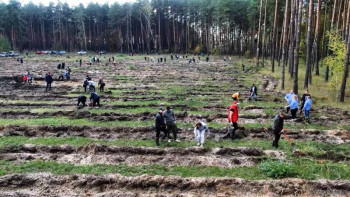 Всероссийская акция «Сохраним лес» проходит в Липецкой области