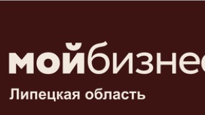 Для малого и среднего предпринимательства проведут видеотрансляцию 