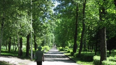 Благоустройство Нижнего парка продолжается