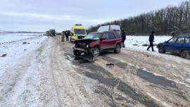 Два человека пострадали в аварии на трассе Елец-Красное