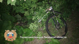 Водитель ВАЗа сбил насмерть велосипедиста в Усманском районе