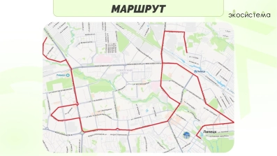 Фото –&nbsp;Движение «Экосистема»