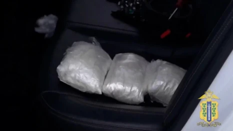 Служебная собака Сильва вывела полицию на след крупной партии наркотиков под Липецком