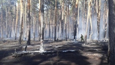 Пожар произошел в районе Силикатных озер