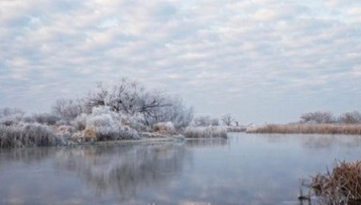 Липчане совершат фотопутешествие в Антарктику и Грузию