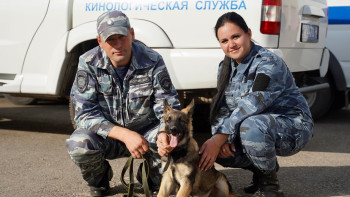 Кинологи Липецкой области объявляют конкурс на кличку для щенка